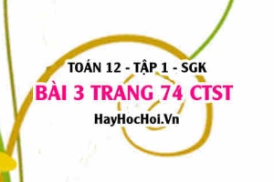 Bài 3 trang 74 Toán 12 tập 1 Chân trời sáng tạo